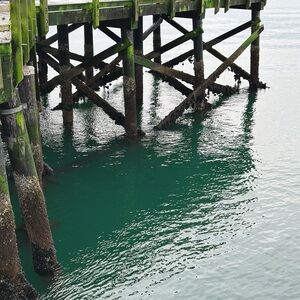 Meet your Posher, Zae